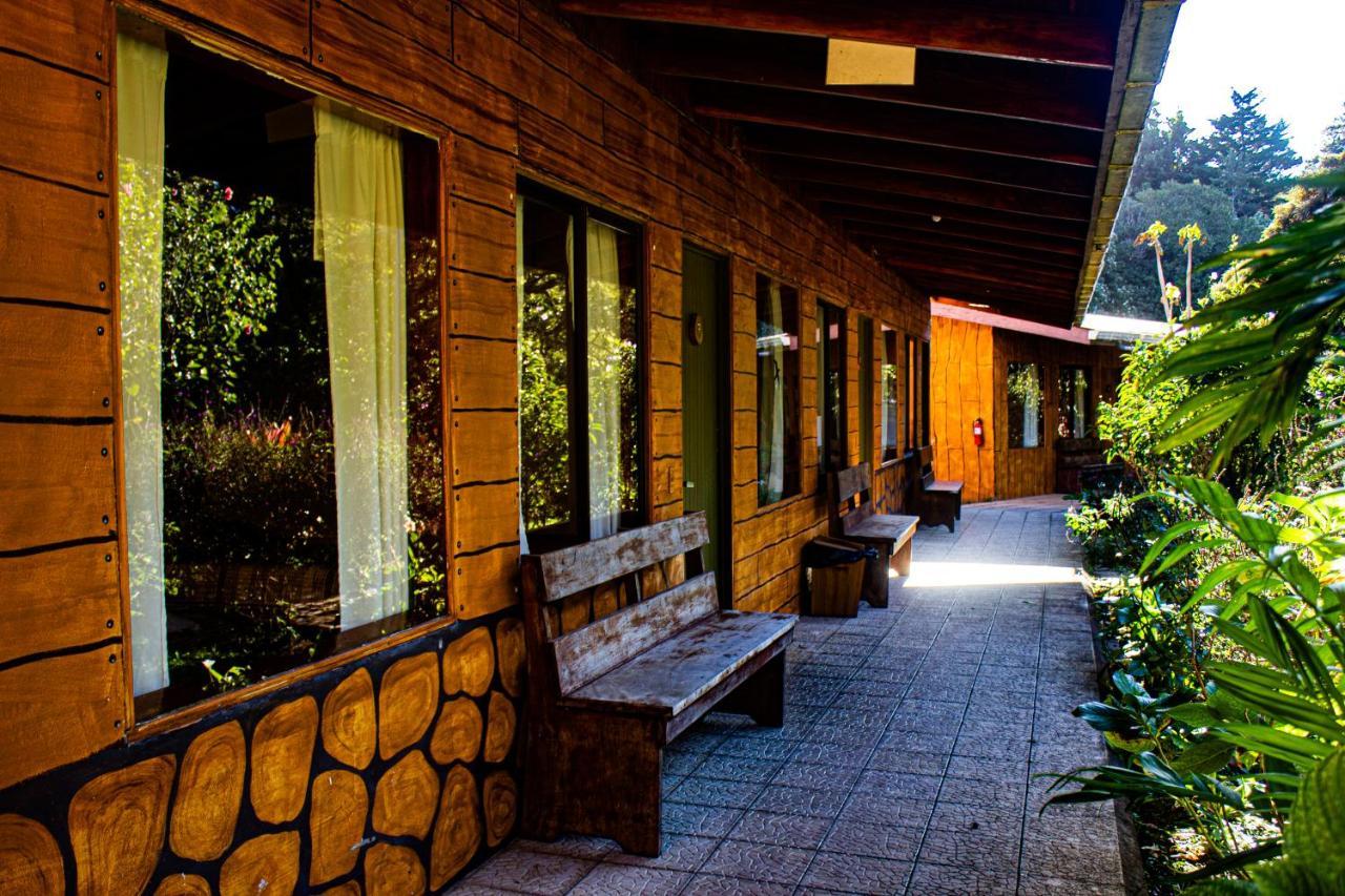El Bosque Lodging Villa Monteverde Exterior photo