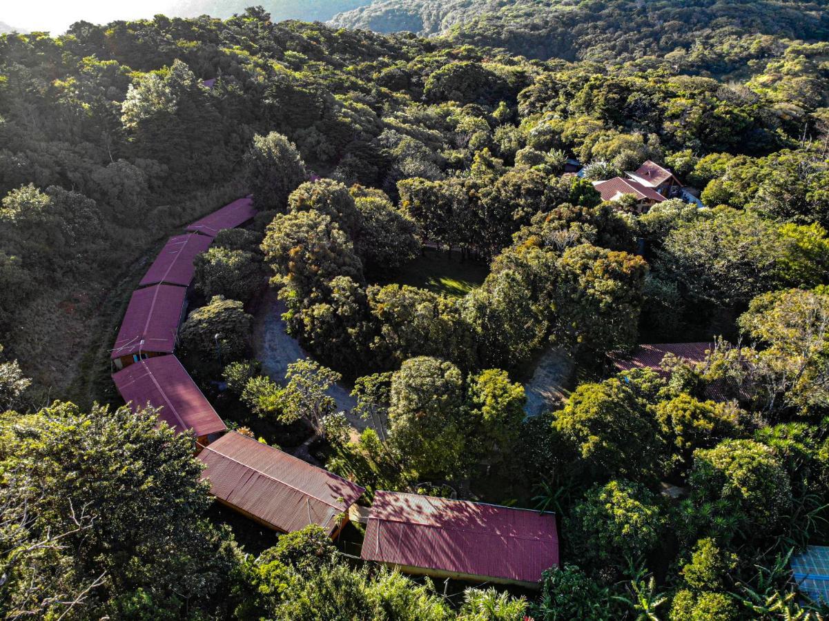 El Bosque Lodging Villa Monteverde Exterior photo